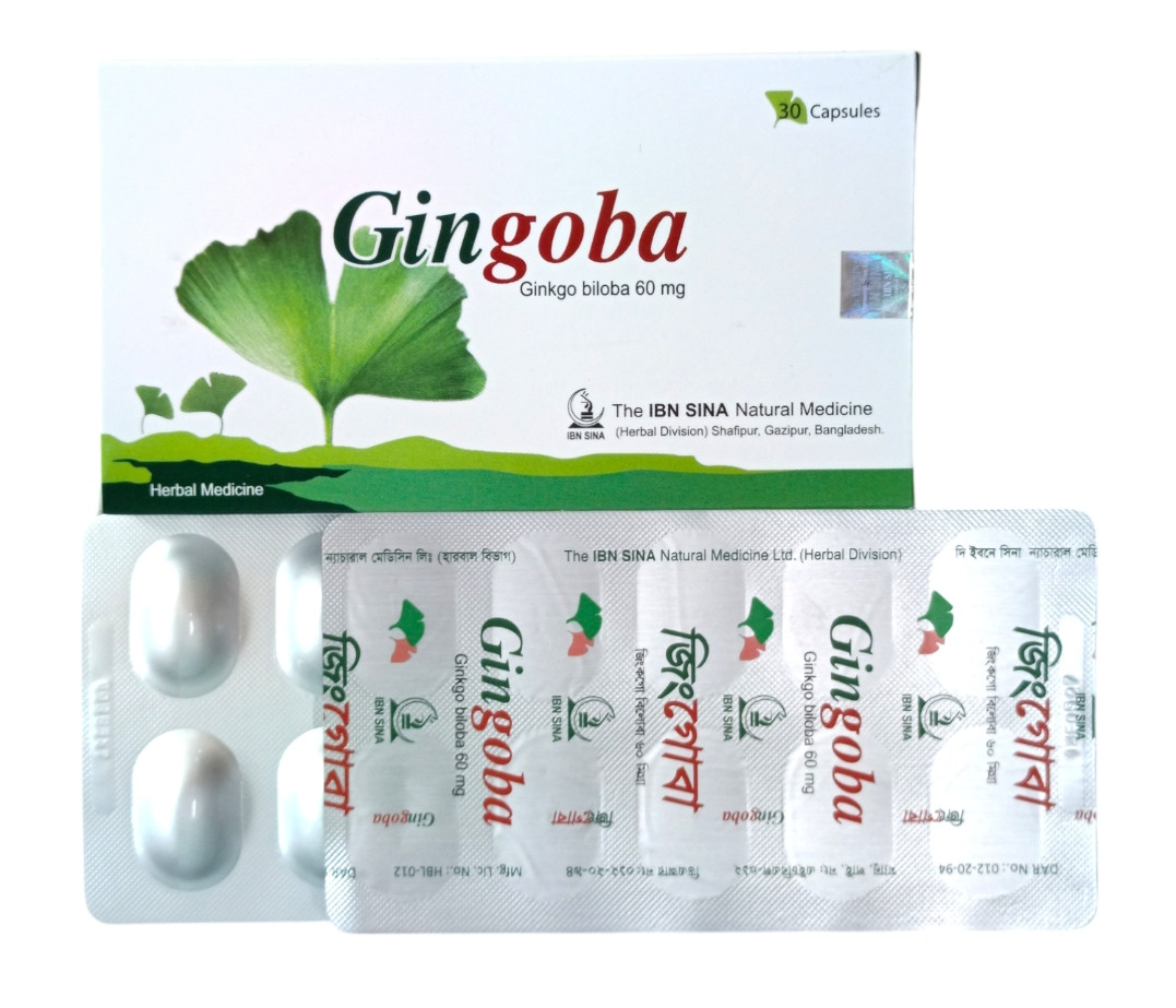 CAP : GINGOBA 60MG